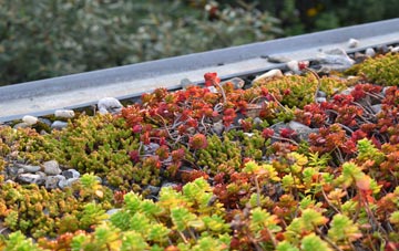 the cost of Monkton Heathfield green roof installation