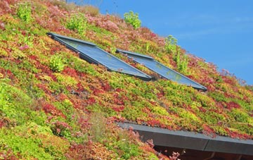 Monkton Heathfield living roof systems